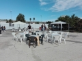 IMG_20151030_125832